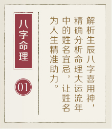 桓台起名流程一